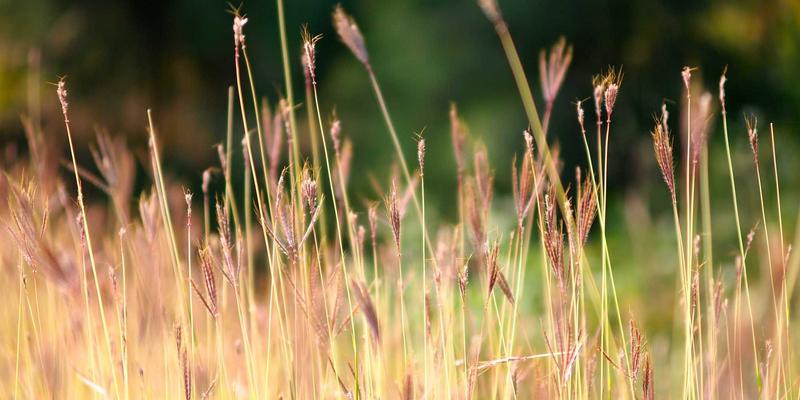 IPv6规模化部署实战指南：过渡技术、安全挑战与运维实践