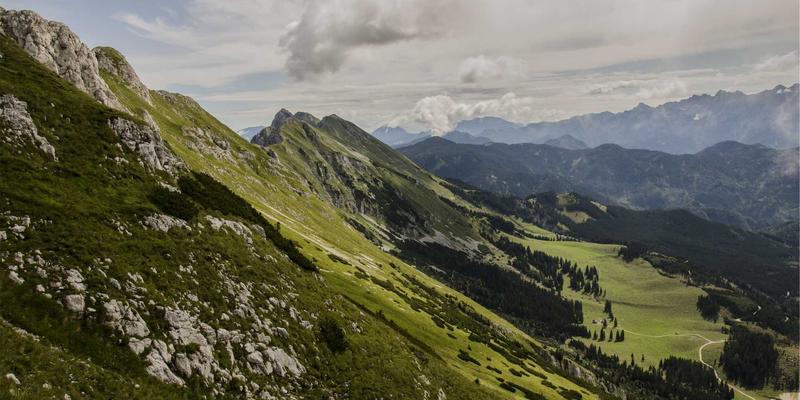 云原生网络服务网格深度解析：Istio与Linkerd的架构对比与选型指南