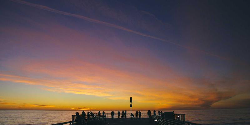 从新手到高手：网络技术进阶必备的软件分享、编程资源与开发教程