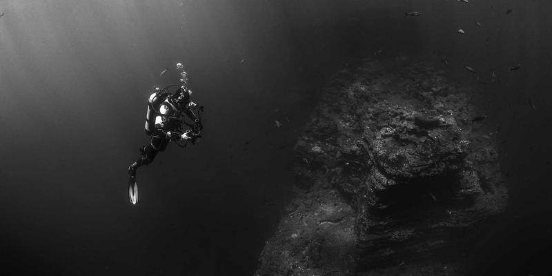 基于P4的可编程数据平面：解锁下一代SDN核心技术的数字资源宝库