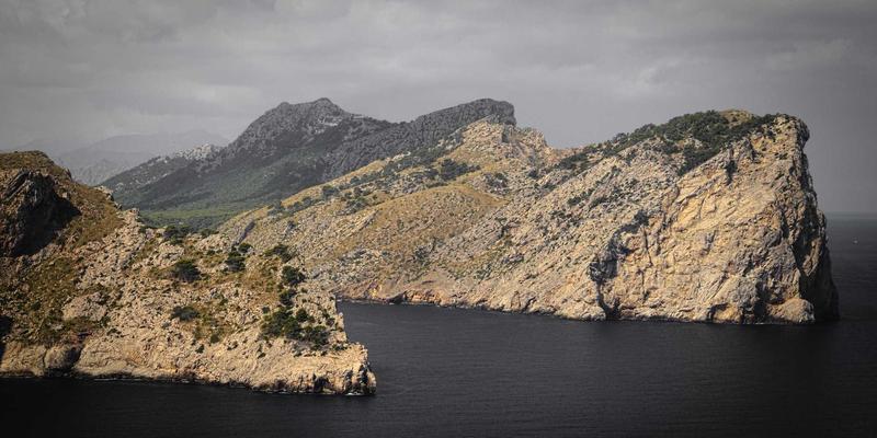 意图驱动网络(IDN)架构解析：开发者必备的下一代网络自动化技术指南