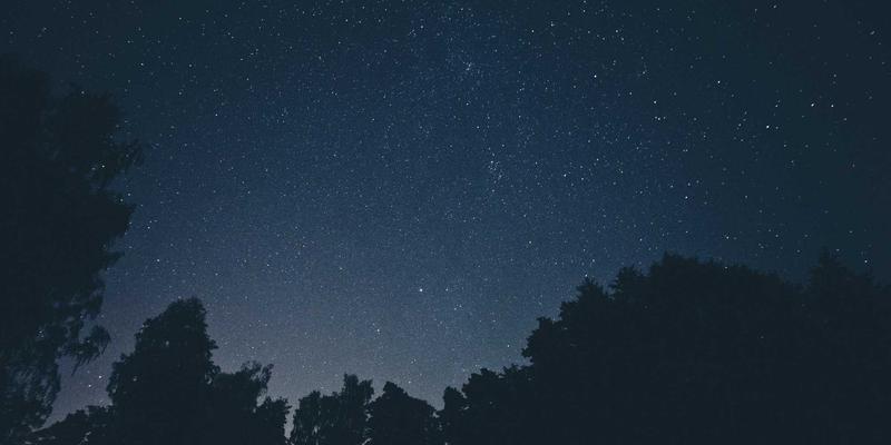 网络技术20:技术博客、软件分享与编程资源全解析