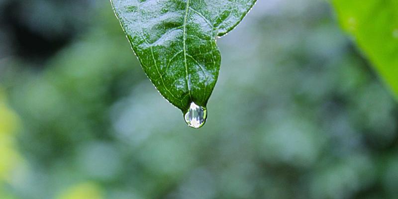 网络技术42：高效开发教程与数字资源整合指南