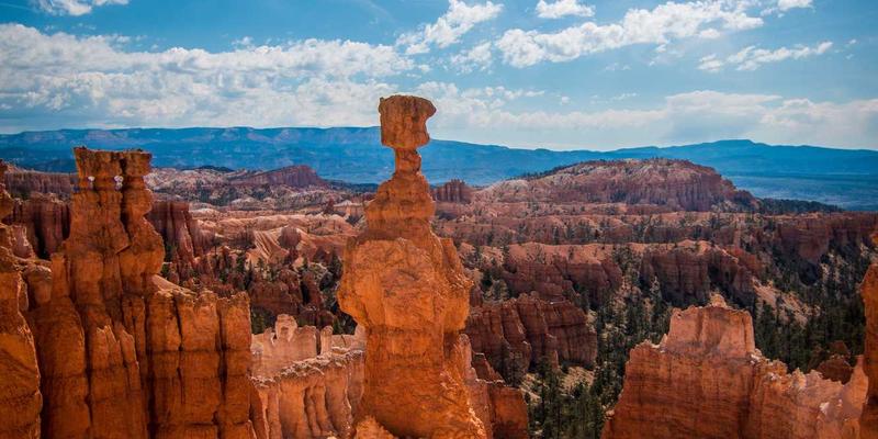 网络技术46:解锁软件分享与数字资源的协同力量