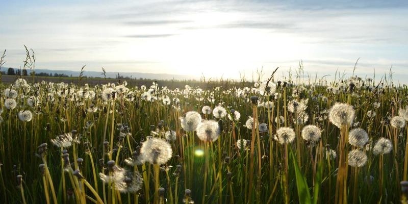 网络技术57：精选软件分享、编程资源与开发教程全指南