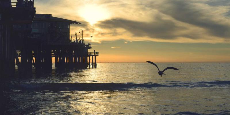 网络数据包代理与全流量可视化：构建下一代安全运维的数字基石