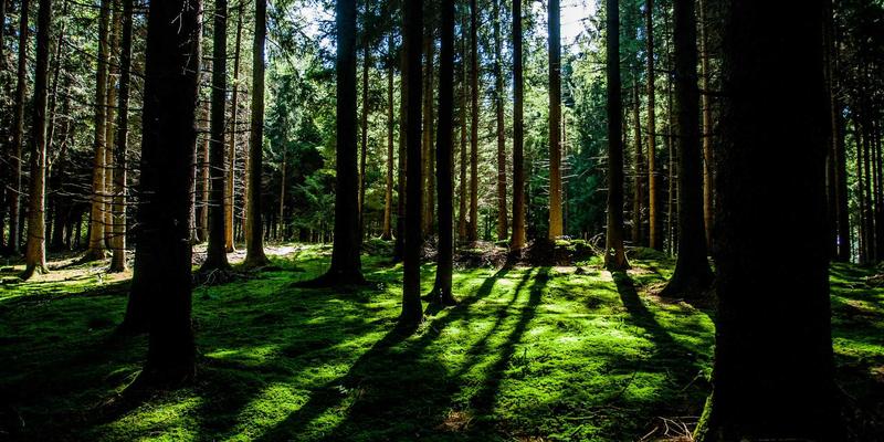 网络自动化运维实战：基于Ansible的配置管理与合规检查软件分享与开发教程