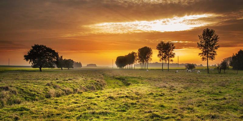 零信任网络架构(ZTNA)实施指南：企业远程访问的编程资源与网络技术实践